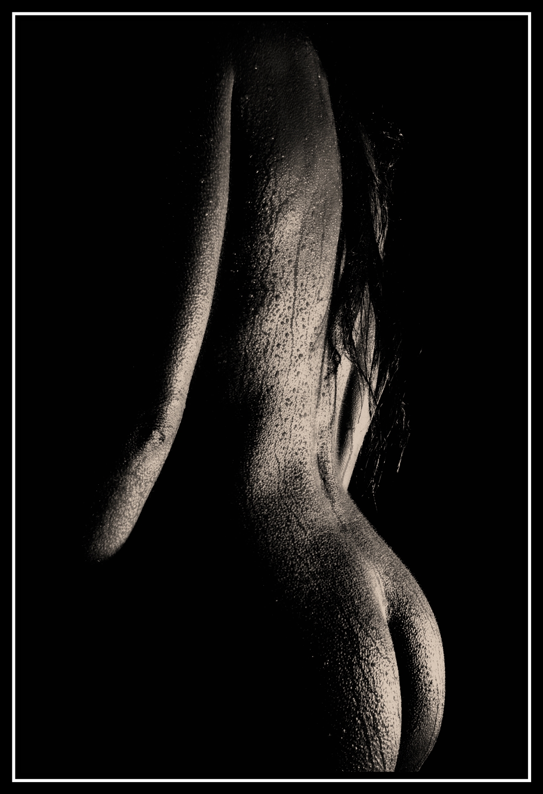 Sv   01   323web